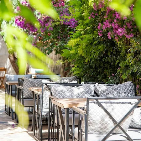 Wind Alasata Auberge de jeunesse Çeşme
