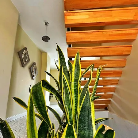 Auberge de jeunesse Wind Alasata Çeşme
