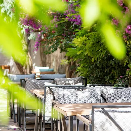 Auberge de jeunesse Wind Alasata